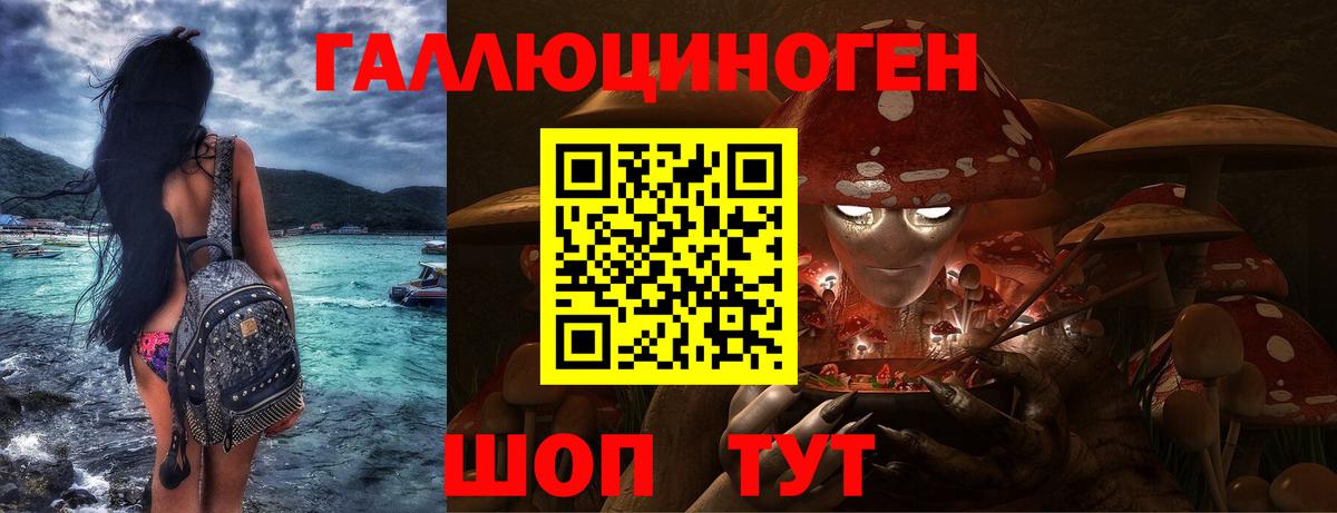 Псилоцибиновые грибы Psilocybe Минеральные Воды